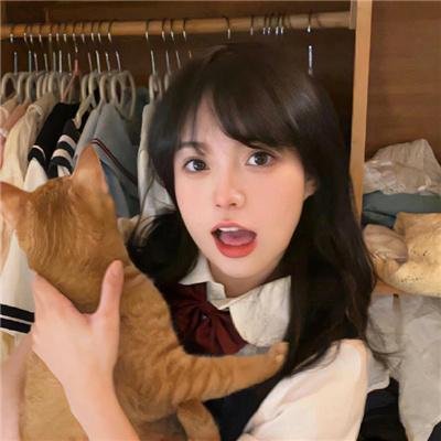 老虎搏懵