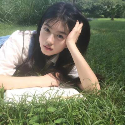 哈莱姆的郁金香
